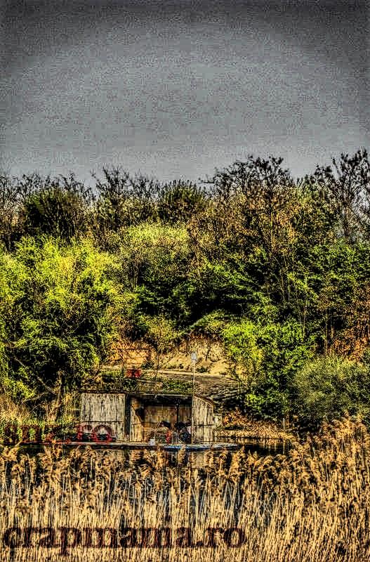 Trofeul Tancabesti (2) - 2013 - 1011925hdrmode2.jpg